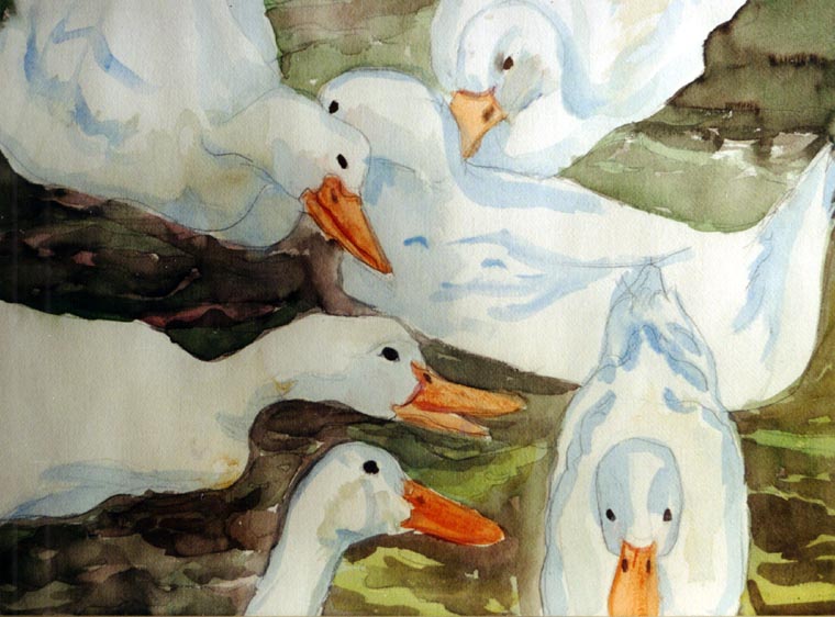 Duck Pond is a watercolor Mindy painted